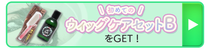 購入ボタン(初めてのウィッグケアセットB)