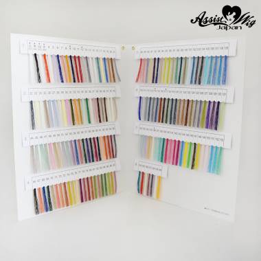 レジロン　カラーサンプル帳