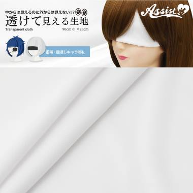 透けて見える生地　ホワイト　90cm巾×25cm