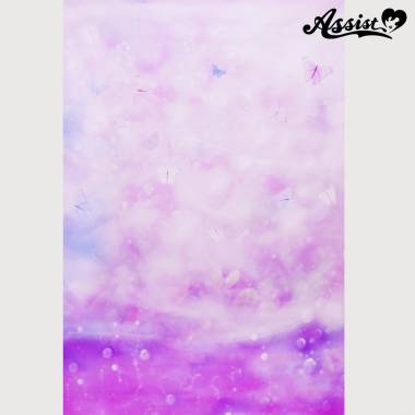 背景布35　蝶柄