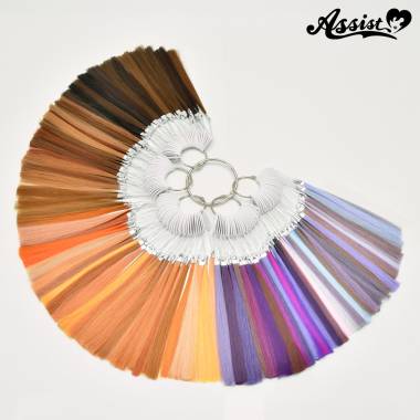 Basic　カラーサンプル　No.3