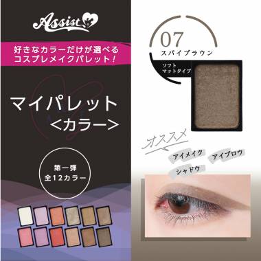 マイパレットAS　スパイブラウン07