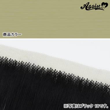 生え際パーツ　パウダーゴールド　NPG-123