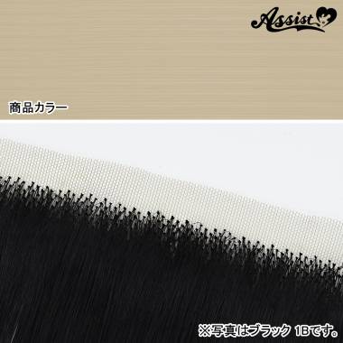 生え際パーツ　ムーンアッシュ　NMA-29