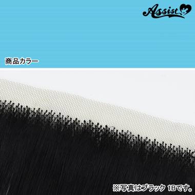 生え際パーツ　レイブルー　NRB-31