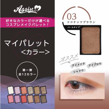 マイパレットAS　ココナッツブラウン03