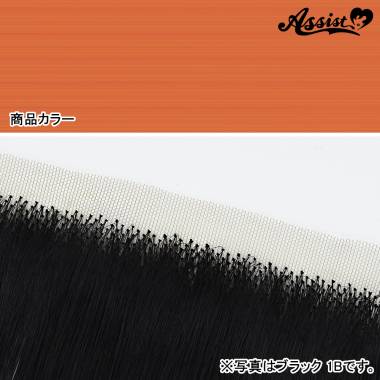 生え際パーツ　プリンセスオレンジ　NPO-112