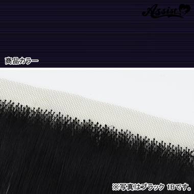 生え際パーツ　ブラックパープル　NPABD-8