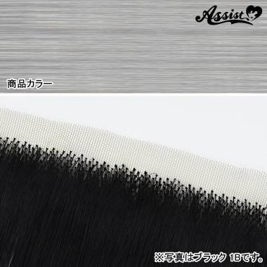 生え際パーツ　ハーフシルバー　NSD-71