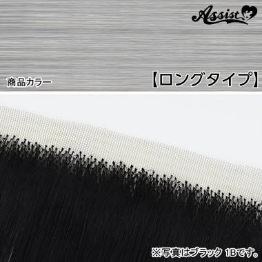 生え際パーツ　ロングタイプ　ハーフシルバー　NSD-71