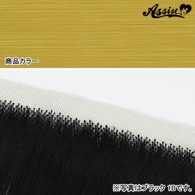 生え際パーツ　イエローゴールド　NEG-26