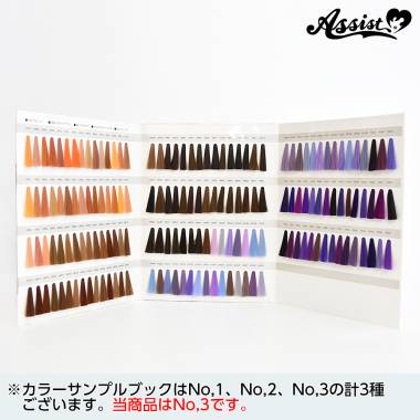【在庫限り】Basic　カラーサンプルブック　No.3