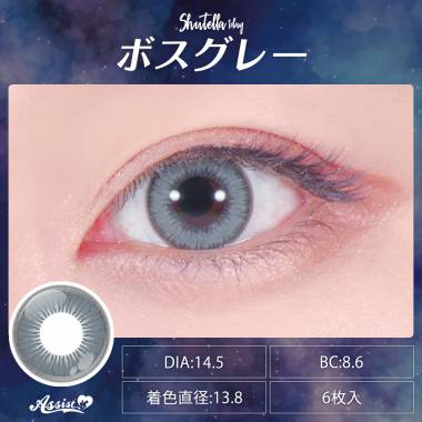 Assist ChouChou Shutella 1Day　ボスグレー