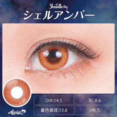 Assist ChouChou Shutella 1Day　シェルアンバー