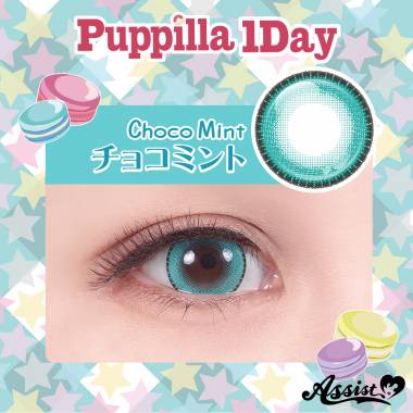 Assist ChouChou Puppilla 1Day　チョコミント