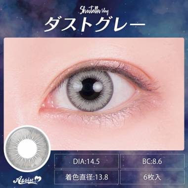 Assist ChouChou Shutella 1Day　ダストグレー