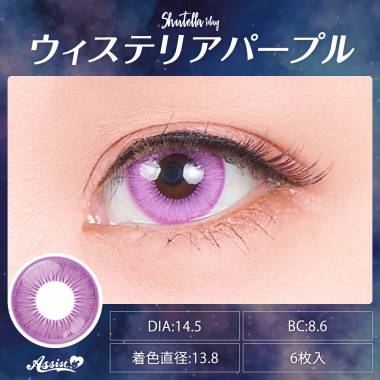 Assist ChouChou Shutella 1Day　ウィステリアパープル